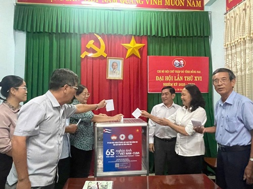 TIN 23.9A.jpg