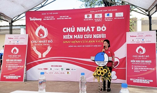 HM trường cao đẳng Xloc.jpg